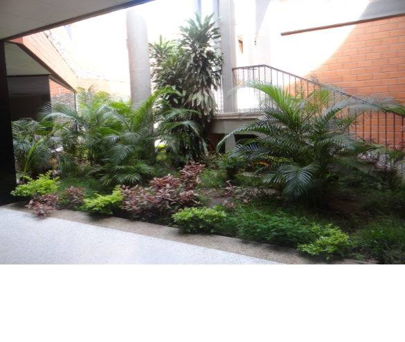 Jardin de la UNIPAP